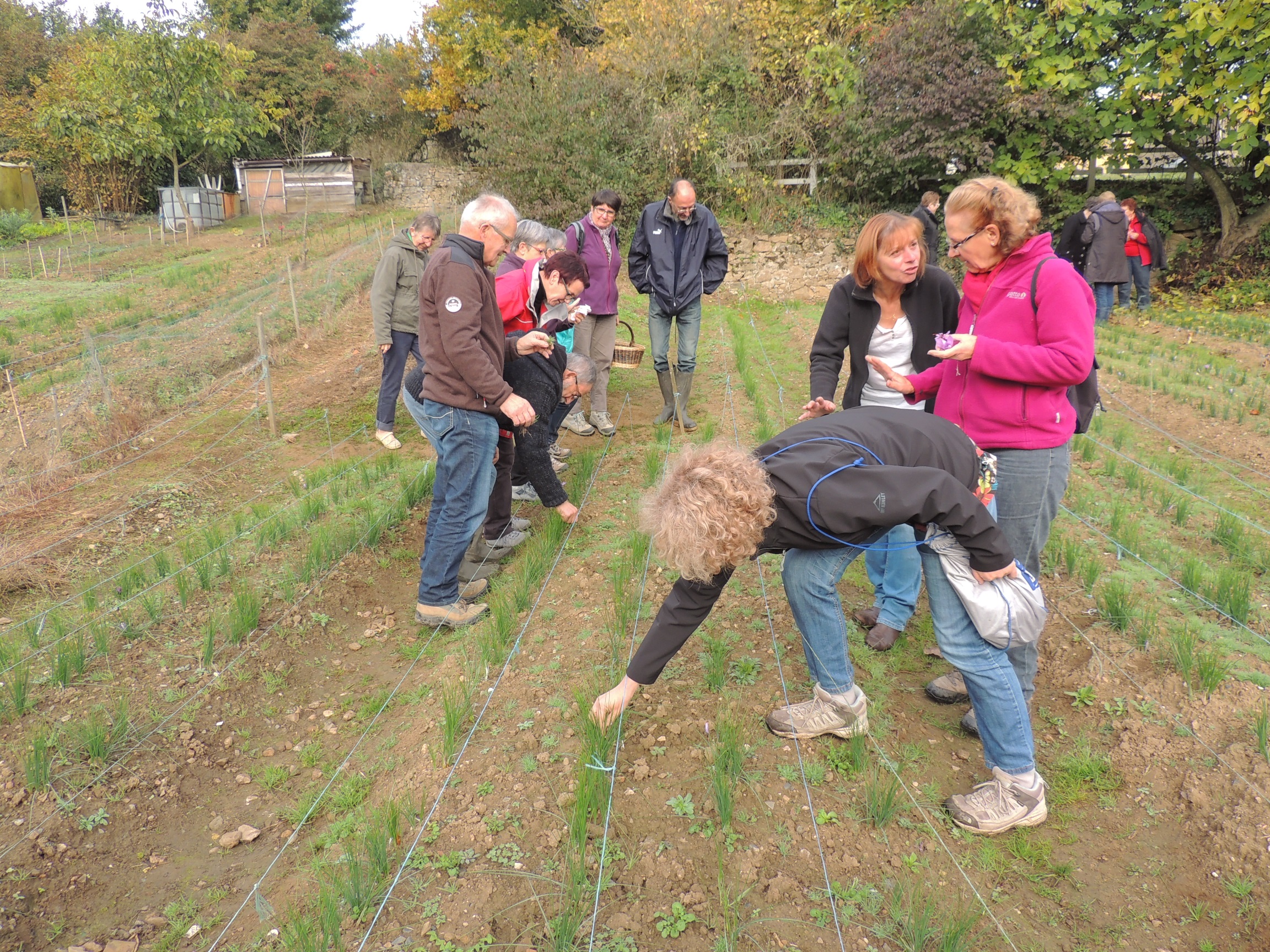 atelier-nature-adulte-photo-2b